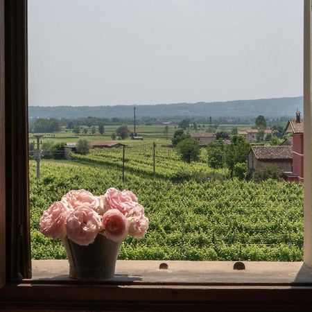 Fiori&Vigne Di Cecilia Marcon Vila Farra di Soligo Exterior foto