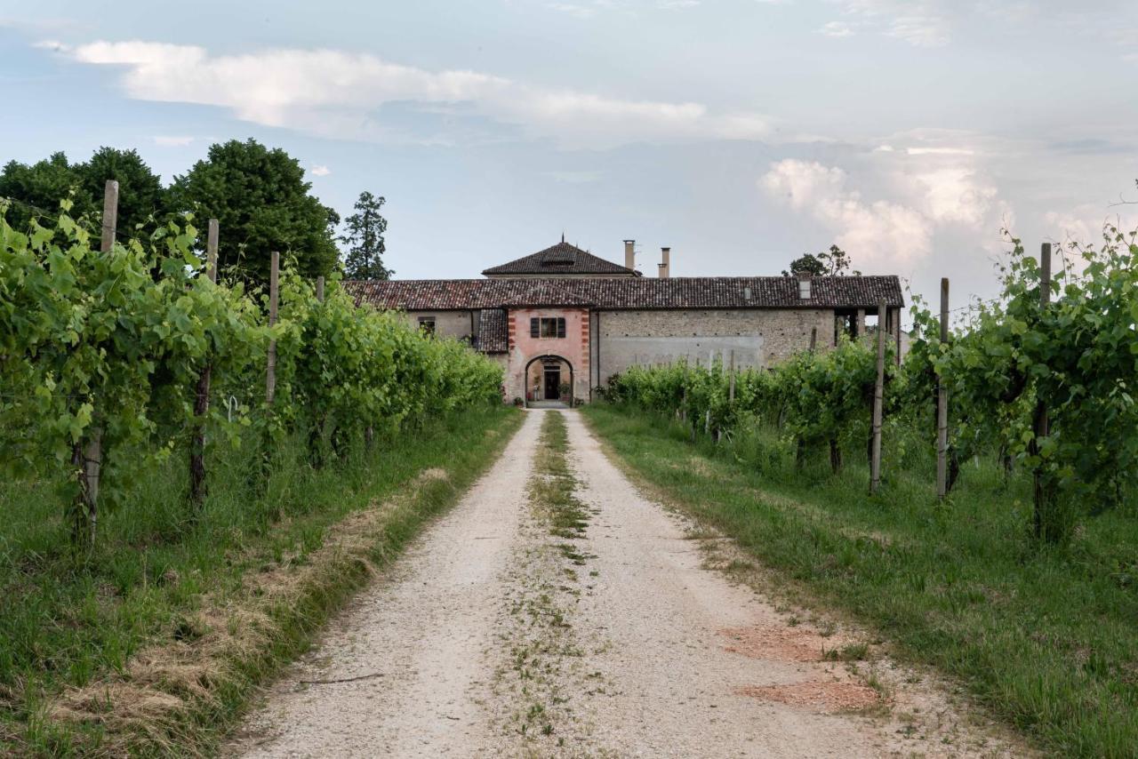 Fiori&Vigne Di Cecilia Marcon Vila Farra di Soligo Exterior foto