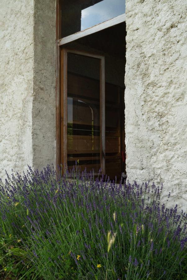 Fiori&Vigne Di Cecilia Marcon Vila Farra di Soligo Exterior foto