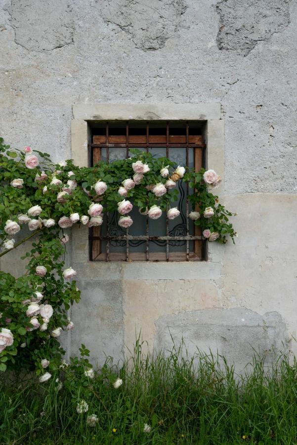 Fiori&Vigne Di Cecilia Marcon Vila Farra di Soligo Exterior foto