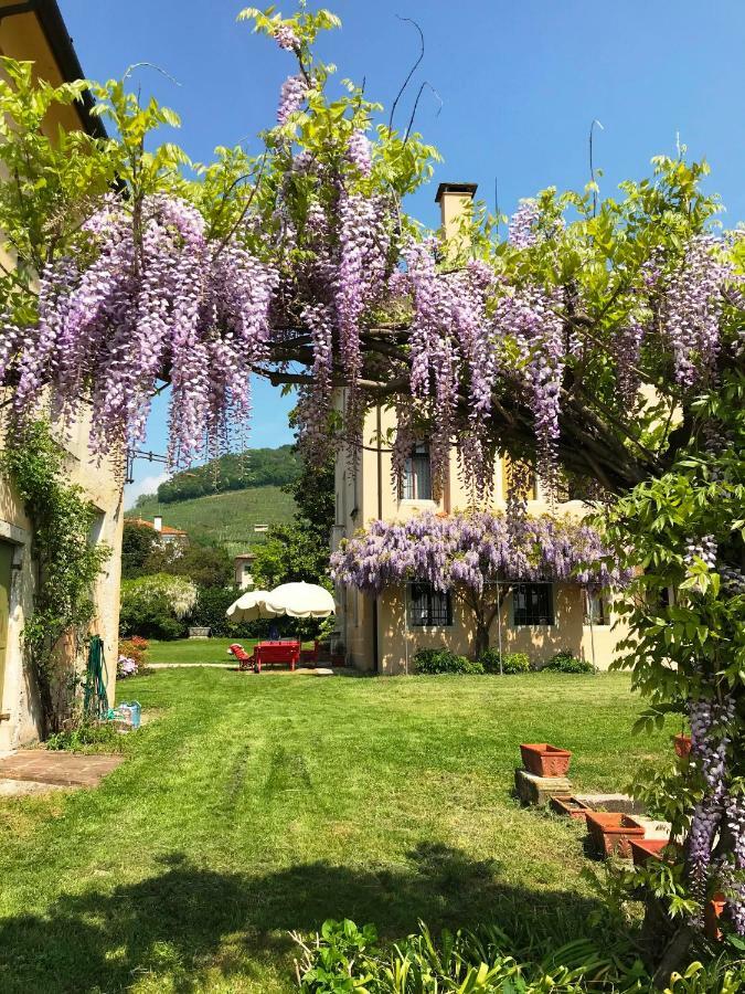 Fiori&Vigne Di Cecilia Marcon Vila Farra di Soligo Exterior foto